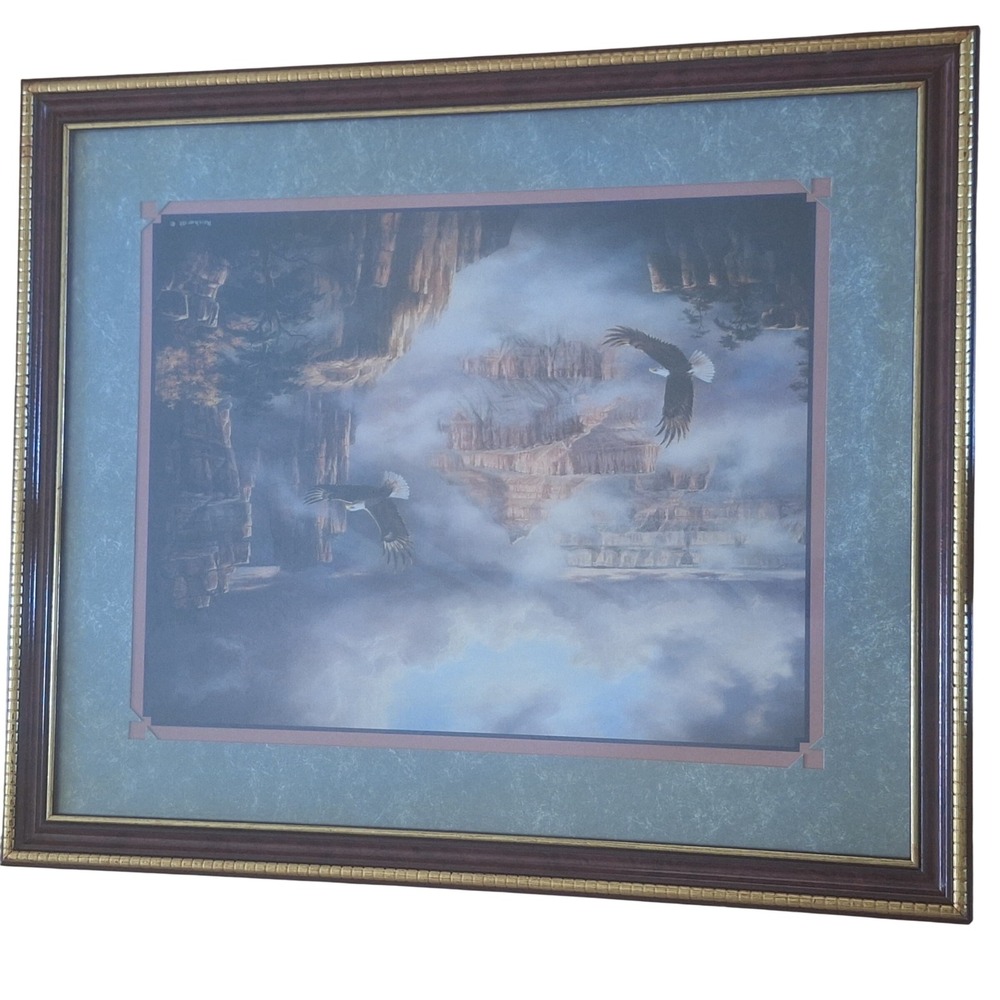 Reichardt Bald Eagles Misty Canyon Framed Art Print Nature Landscape Decor
